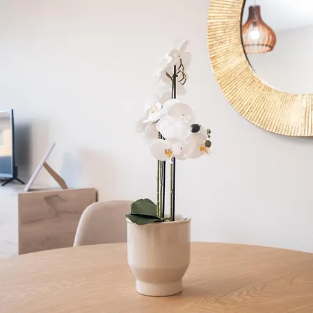 Panoramic View Cozy 1br * 플로브디프